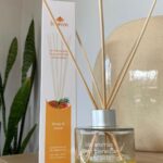 WhatsApp Image 2025-08-29 at 11.55.06 (1)